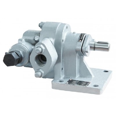 2CY型齒輪輸油泵