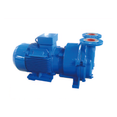 2BV系列水(液)環式真空泵/壓縮機