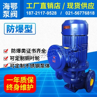 YG防爆管道油泵